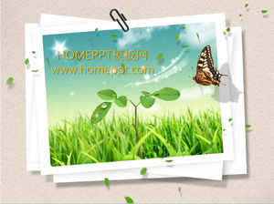 Butterfly Green Grass Slide Background Template