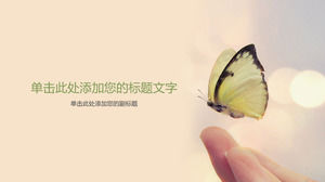 Schmetterlings-PPT-Hintergrundbild auf Fingerspitzen