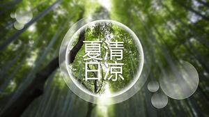 Modello PPT foresta di bambù di bambù estate fresca