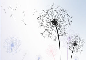 Dandelion abstract plant PPT background picture