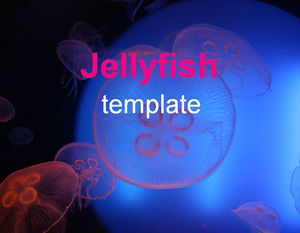 Deep blue jellyfish-animal Powerpoint Templates