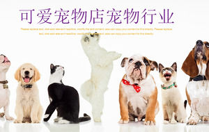 Dog cat lining up background pet PPT template
