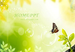 Eleganter und schöner Schmetterling PPT-Vorlage herunterladen