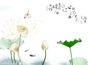 elegant dragonfly play lotus chinese wind slide film background dragonfly template