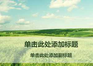 Endless green wheat field nature ppt template