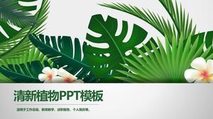 Modelo PPT de planta verde fresco e atraente