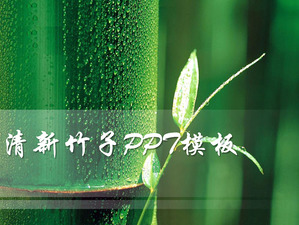 background bambu segar Template PowerPoint slideshow