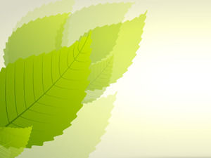 新绿色叶子PPT背景图片