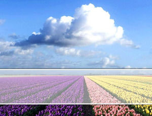 garden powerpoint templates free download garden powerpoint background