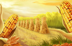Goldene Mais - Herbst Erntezeit PPT-Vorlage