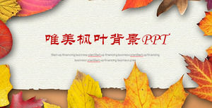 ゴールデンFalling Leaves Background PPTテンプレート、植物PPTテンプレートダウンロード