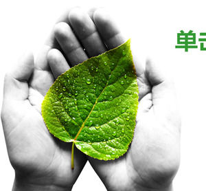 Green flat environmental protection PPT template with leaves background