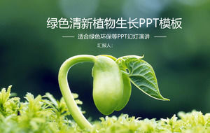 Green sprouts seedlings background environmental protection PPT template