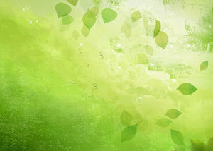 Zielony przezroczysty Liście tło Piękne PPT obraz