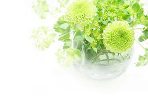 綠色花瓶植物PPT背景圖片
