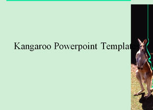 Kanguru Powerpoint Şablonları