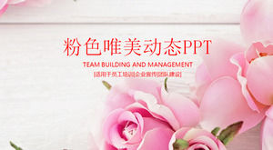 Pink beautiful rose background PPT template, plant PPT template download Pink beautiful rose background PPT template, plant PPT template download