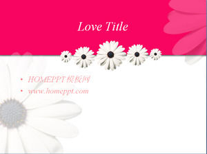 Rosa Sonnenblume Hintergrund Liebe PPT-Vorlage