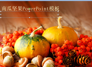 Pumpkin nuts background vegetable PPT template