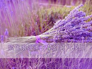 紫色浪漫薰衣草背景植物幻燈片模板下載