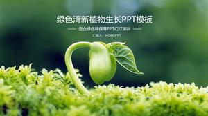 Seedling sprouting green plant PPT template