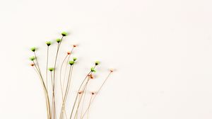 简单的花束花卉PPT背景图片