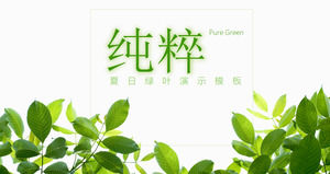 Summer theme PPT template with fresh green leaves background