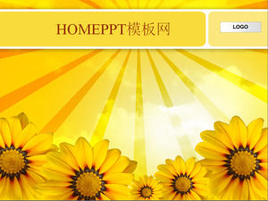 Sunflower background slide template download