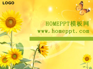 Sunflower kupu-kupu terbang PPT Template Download
