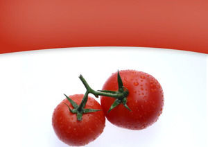 Fruits et légumes tomates modèle powerpoint