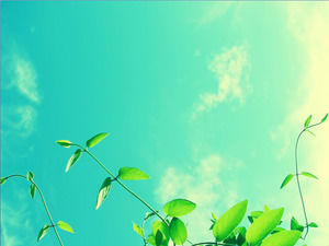 สองฟากฟ้าและสีขาวเมฆสีฟ้าภายใต้พืชที่สวยงาม PPT ภาพพื้นหลัง