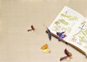 エレガントな蝶の背景を持つPPT背景の二つの絵