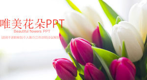 Modello PPT universale per download gratuito di bellissimi fiori di tulipano