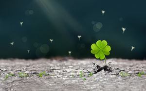 Vibrant four-leaf clover PPT background picture