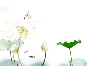 gambar latar belakang air Lotus Lotus Chinese Style PPT