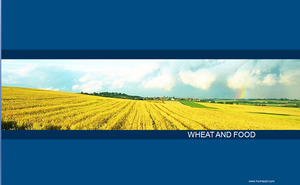 Wheat field background business PPT template download