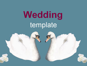 White Swan - Animal PPT template