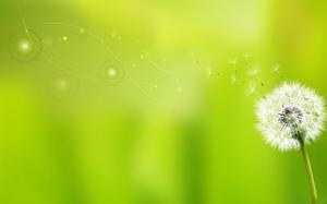 Yellow-green dandelion PPT background picture