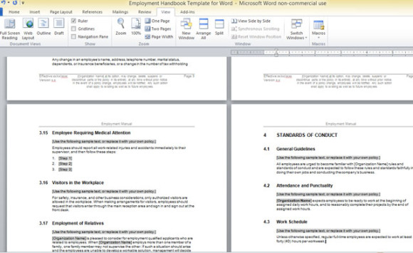 occupazione-manuale-modello per parola-2