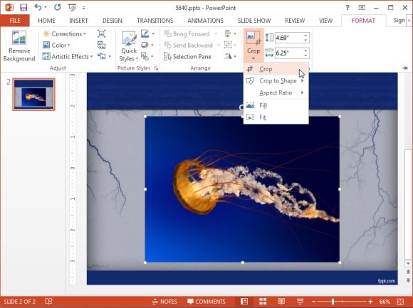 Как закруглить картинку в powerpoint