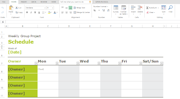 Șabloane Program de grup pentru Excel
