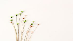 여섯 개의 간단한 신선한 꽃다발 PPT 배경 사진