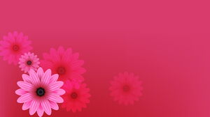 美しいピンクの花のPPTの背景