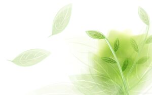 Light and elegant leaves PowerPoint backgrounds