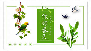 绿植，燕子，鹦鹉，小清新背景，你好，春天，PPT模板