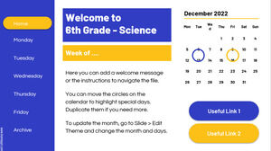 Șablon de aplicație web. Planificator săptămânal pentru învățarea la distanță.