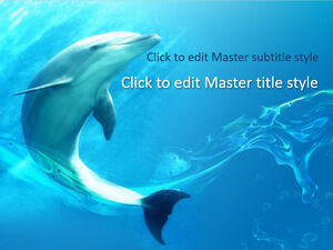 Șablon gratuit PPT Dolphin