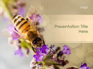 Free Bee PPT Template