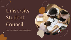 Consiliul Studenților Universitari