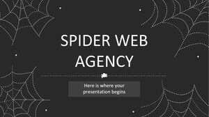 Agencja Spider Web